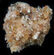 Creedite Crystal Cluster - Durango, Mexico #34300-1